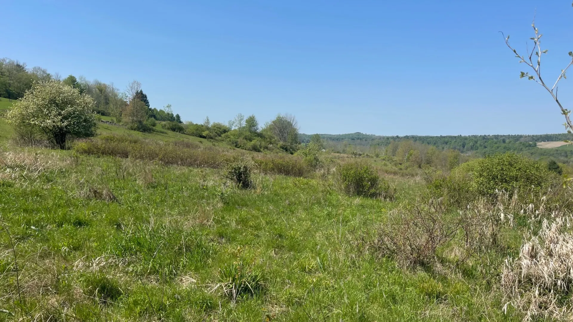 Property at 0 Acorn Ln, Oxford, NY 13733 10