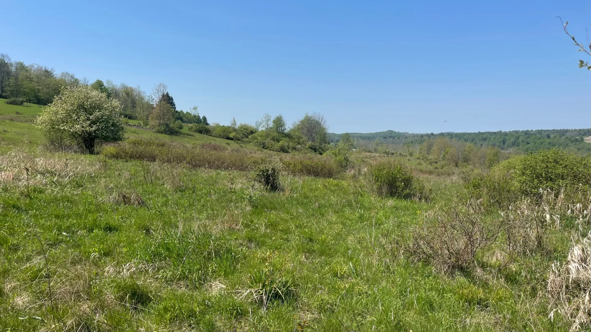 Property at 0 Acorn Ln, Oxford, NY 13733 11