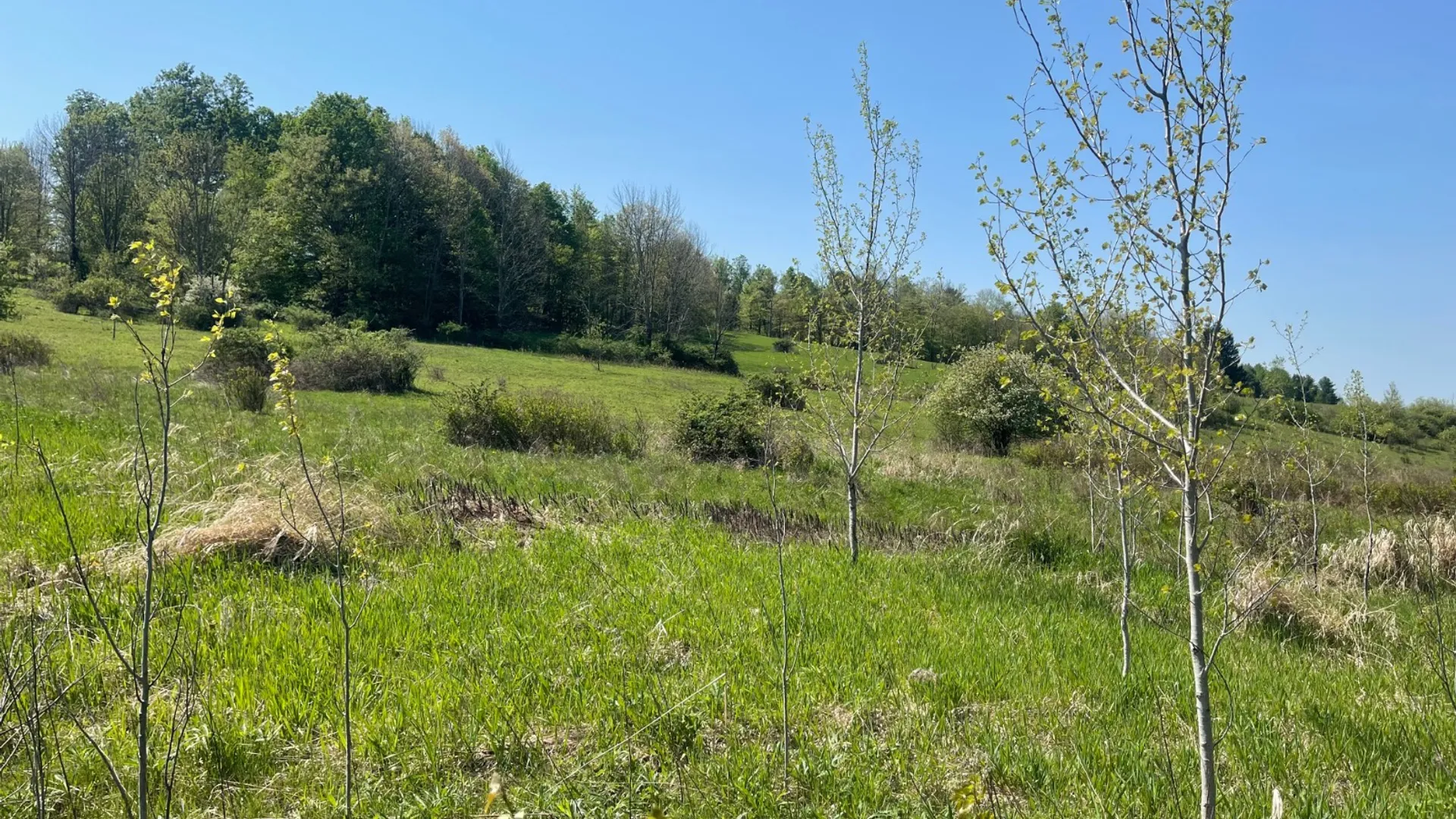 Property at 0 Acorn Ln, Oxford, NY 13733 13