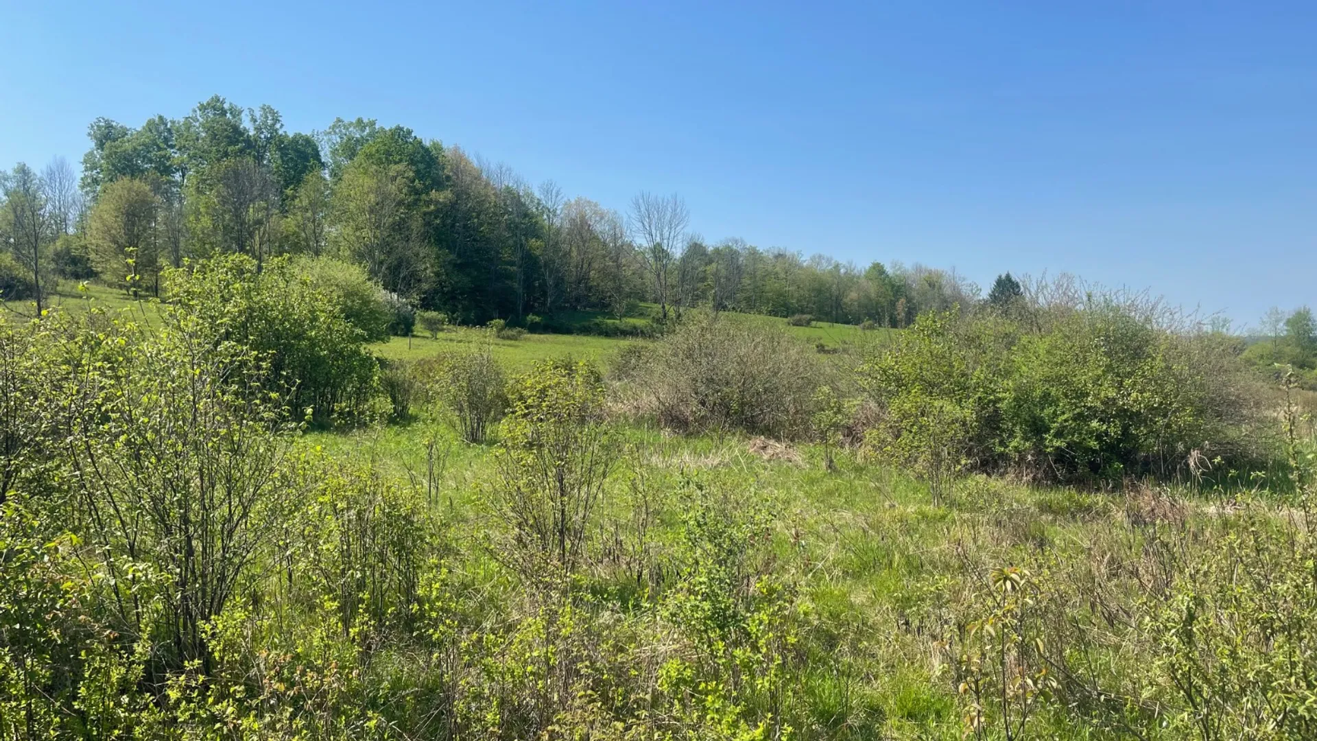 Property at 0 Acorn Ln, Oxford, NY 13733 15
