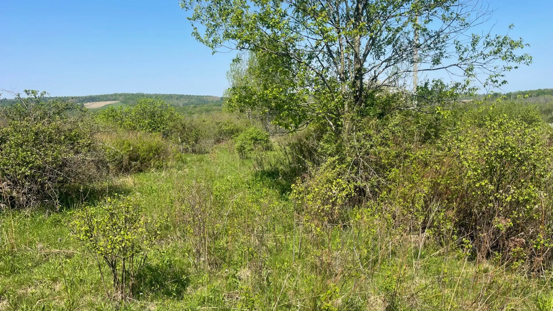 Property at 0 Acorn Ln, Oxford, NY 13733 16