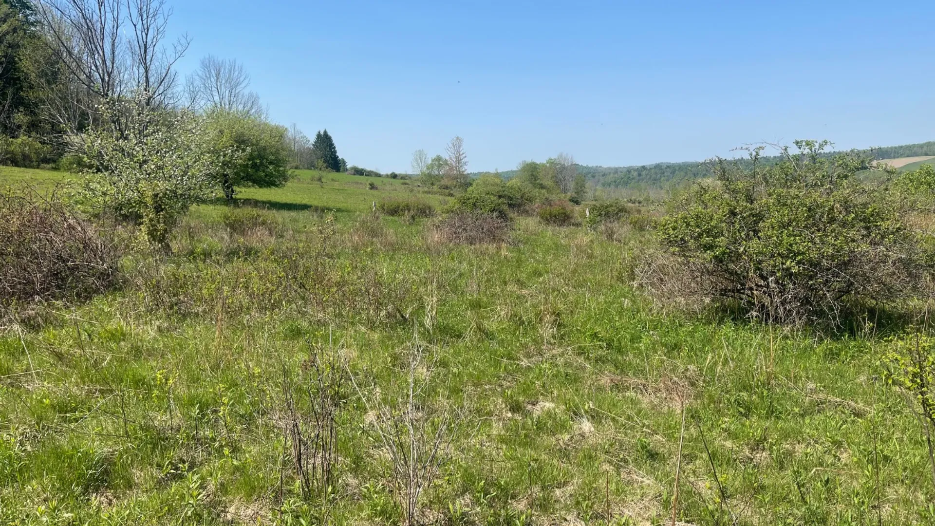 Property at 0 Acorn Ln, Oxford, NY 13733 17