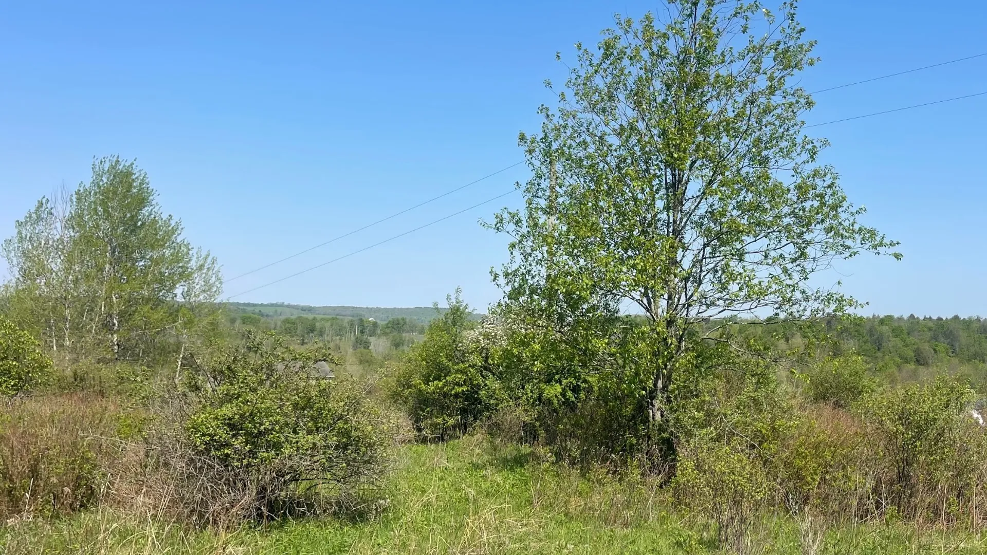 Property at 0 Acorn Ln, Oxford, NY 13733 18
