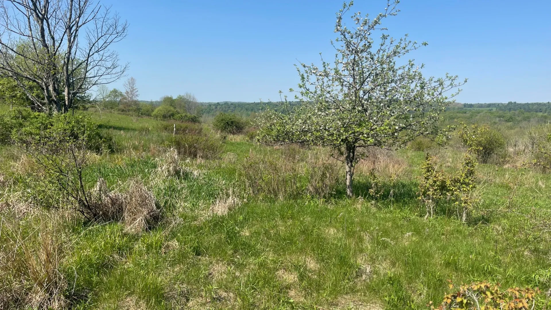 Property at 0 Acorn Ln, Oxford, NY 13733 20