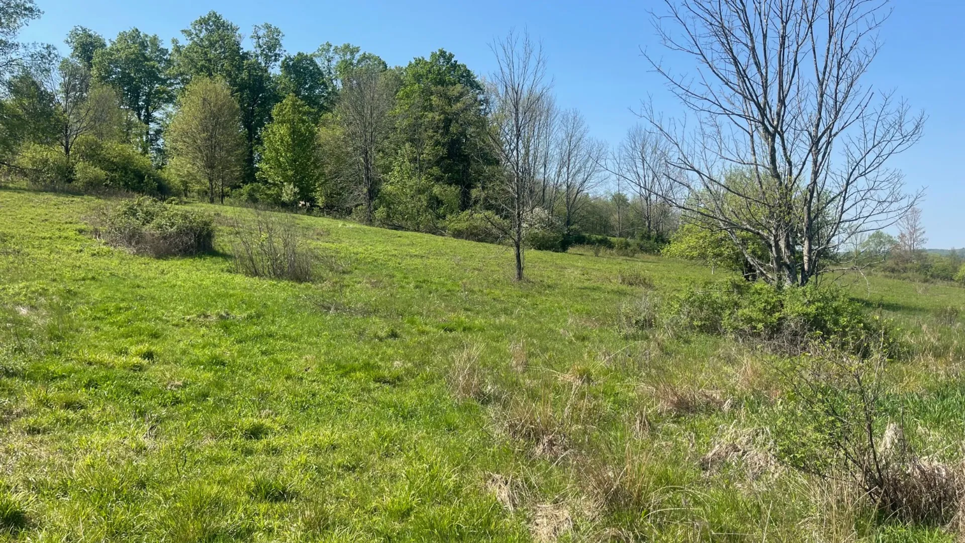 Property at 0 Acorn Ln, Oxford, NY 13733 21