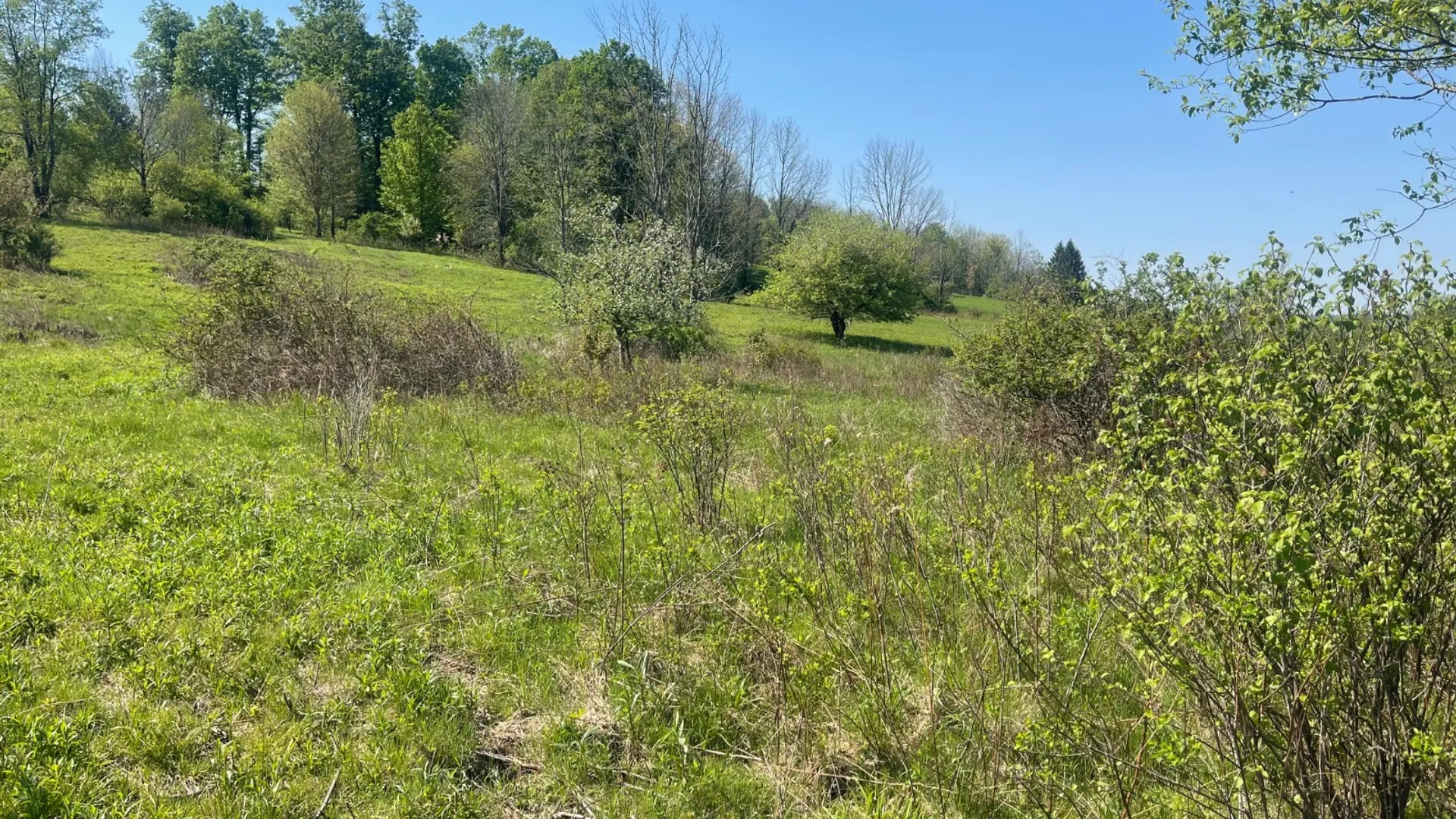 Property at 0 Acorn Ln, Oxford, NY 13733 22