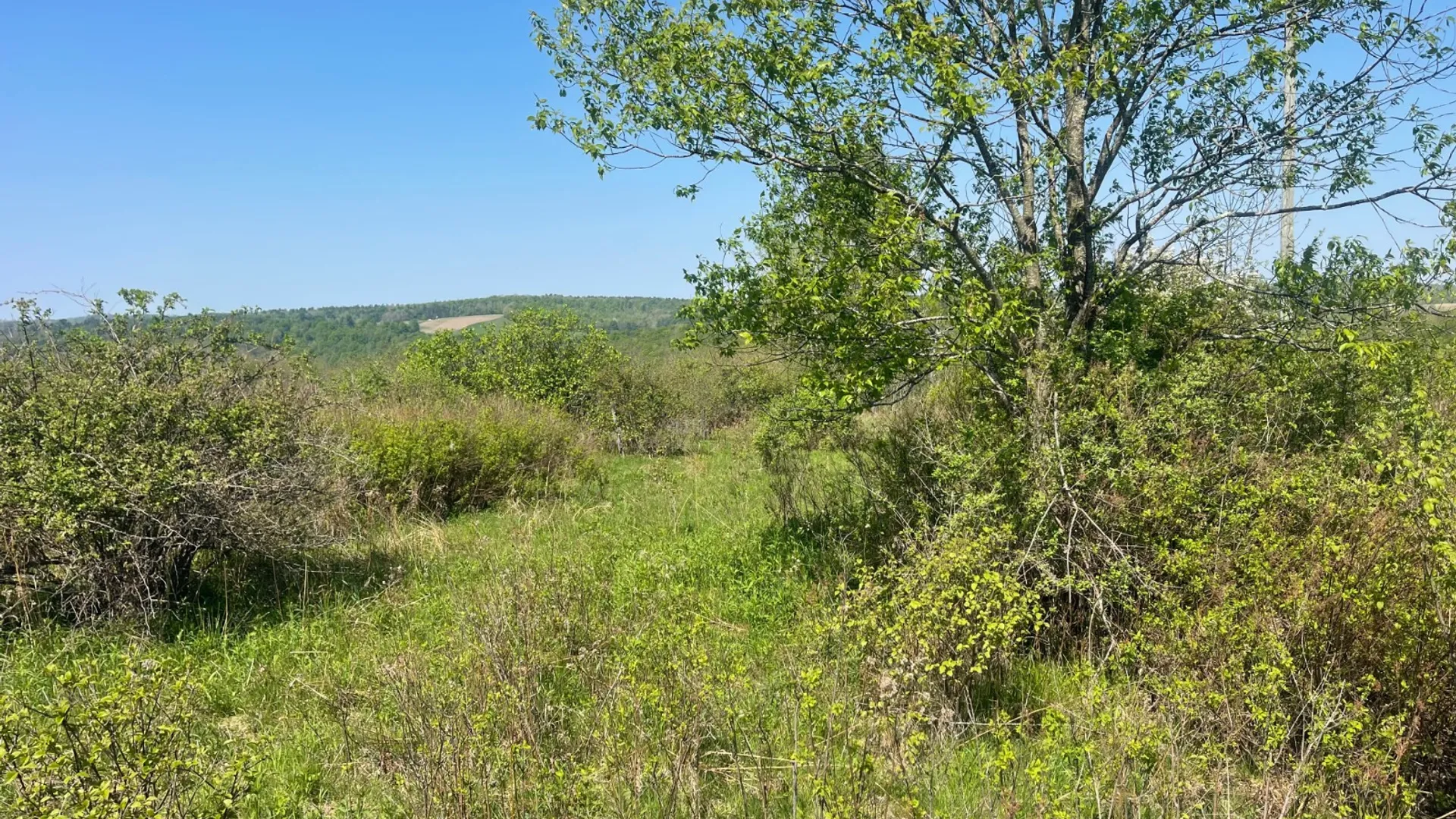 Property at 0 Acorn Ln, Oxford, NY 13733 24