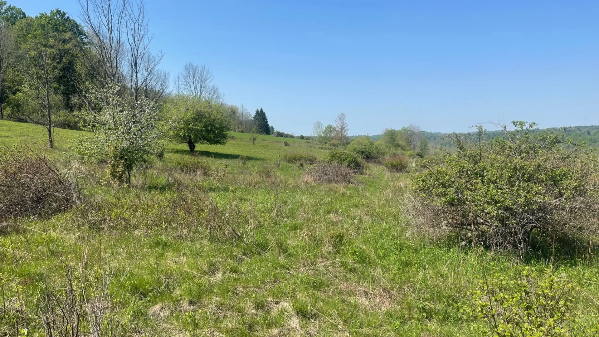 Property at 0 Acorn Ln, Oxford, NY 13733 25