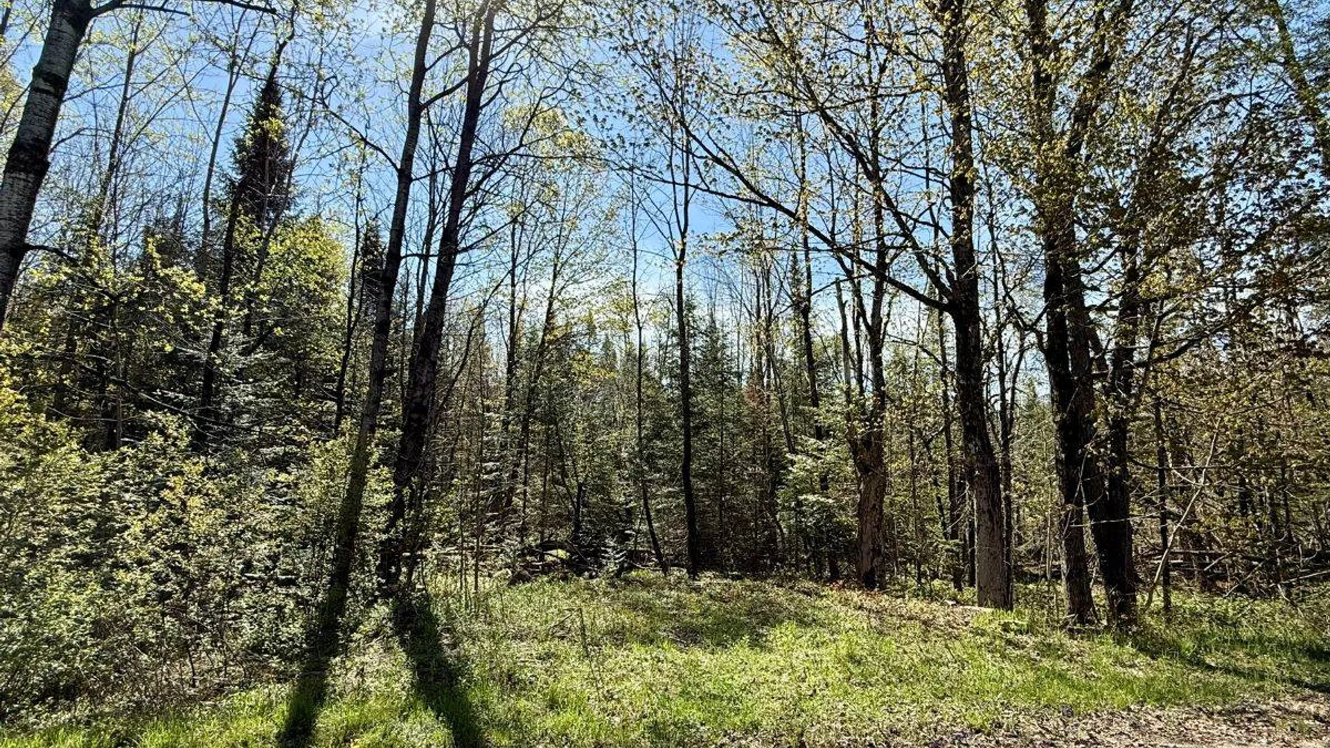 Property at Off Haskell Road, Piseco, NY 12139 4