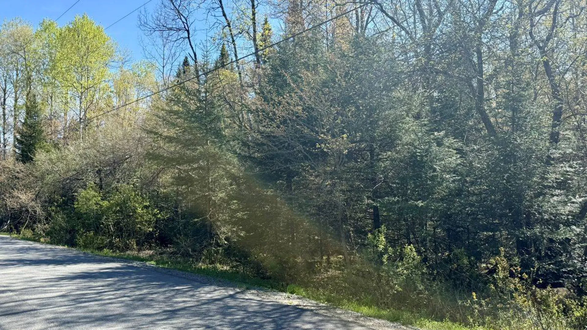 Property at Off Haskell Road, Piseco, NY 12139 5