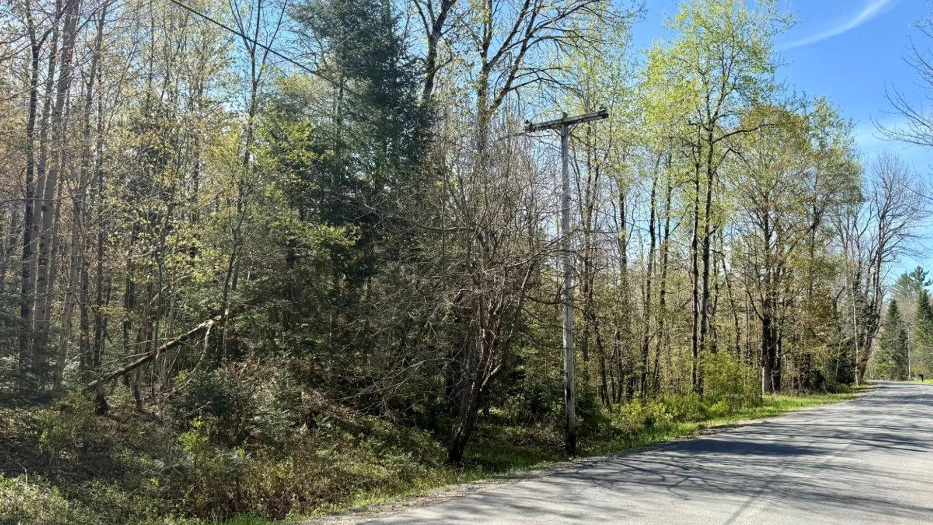 Property at Off Haskell Road, Piseco, NY 12139 6