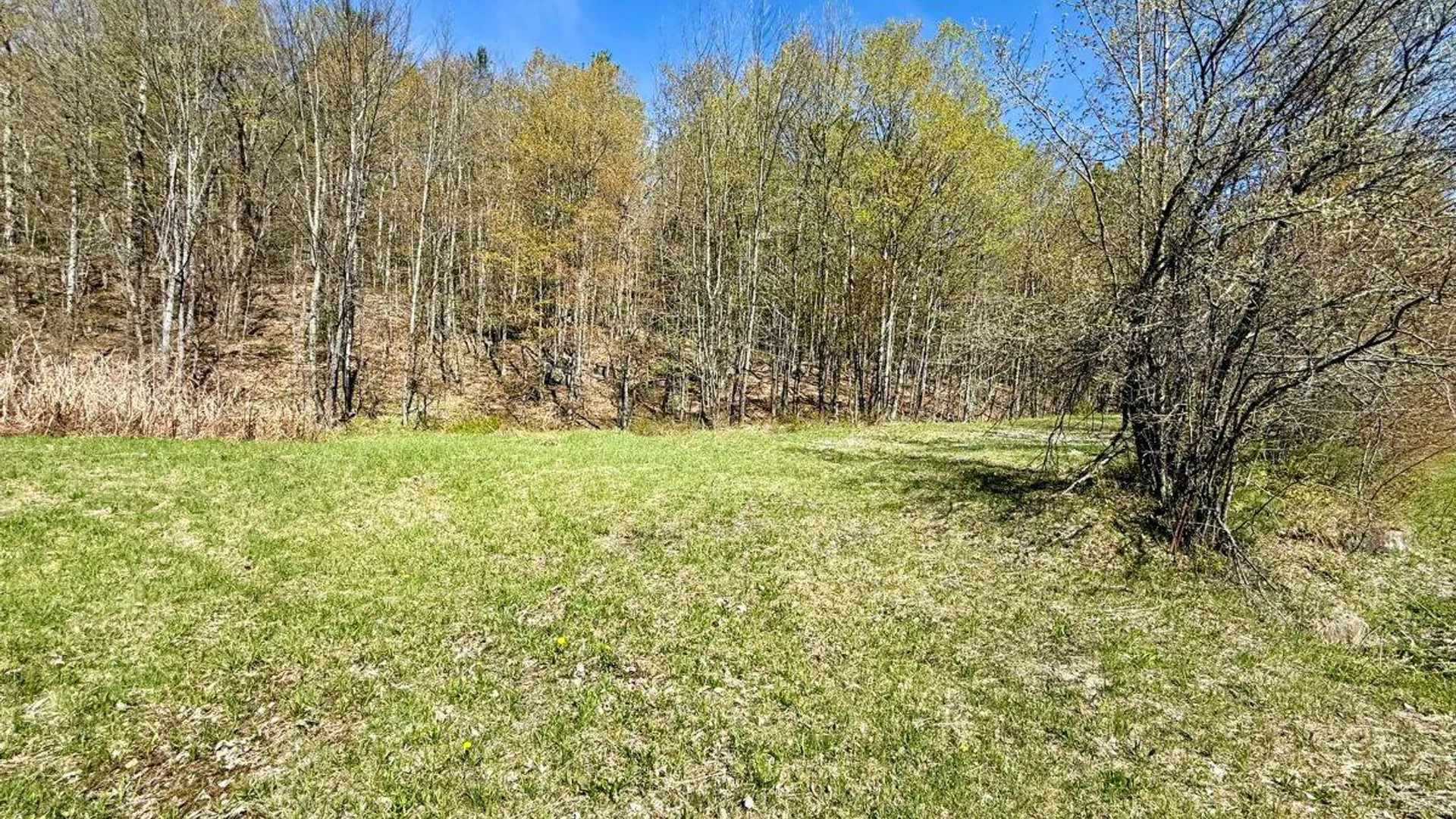 Property at 299 & 331 Page Street, Lake Pleasant, NY 12108 10