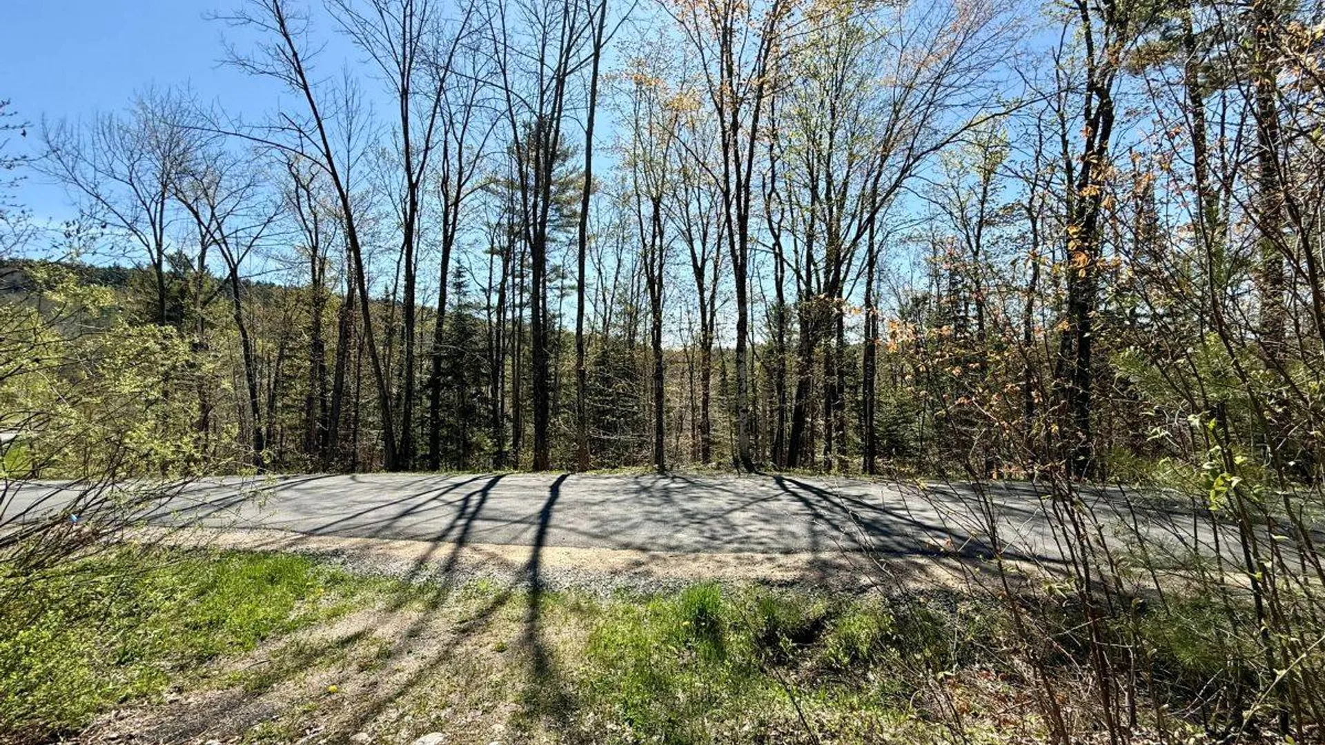 Property at 299 & 331 Page Street, Lake Pleasant, NY 12108 3
