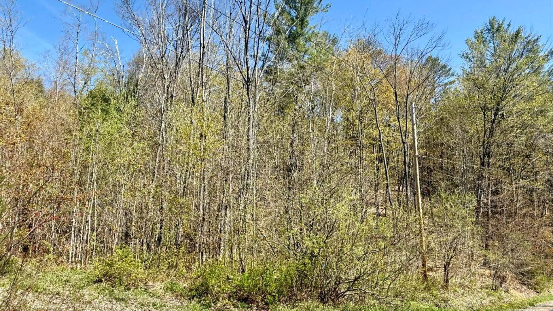 Property at 299 & 331 Page Street, Lake Pleasant, NY 12108 4