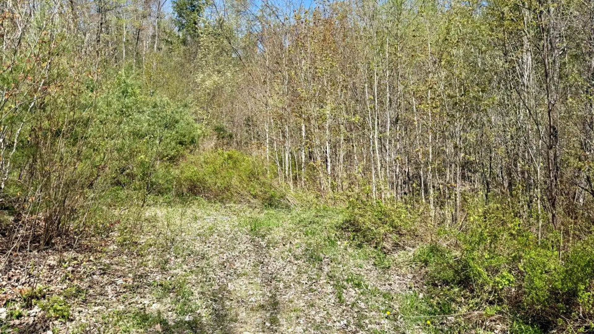 Property at 299 & 331 Page Street, Lake Pleasant, NY 12108 5