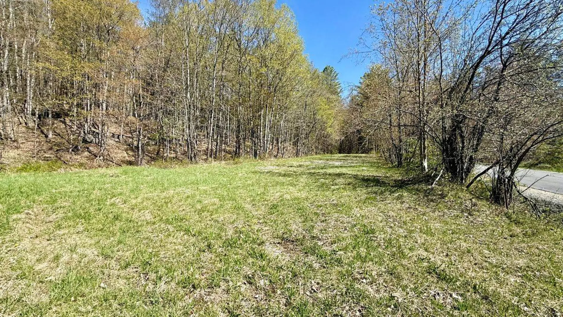 Property at 299 & 331 Page Street, Lake Pleasant, NY 12108 6