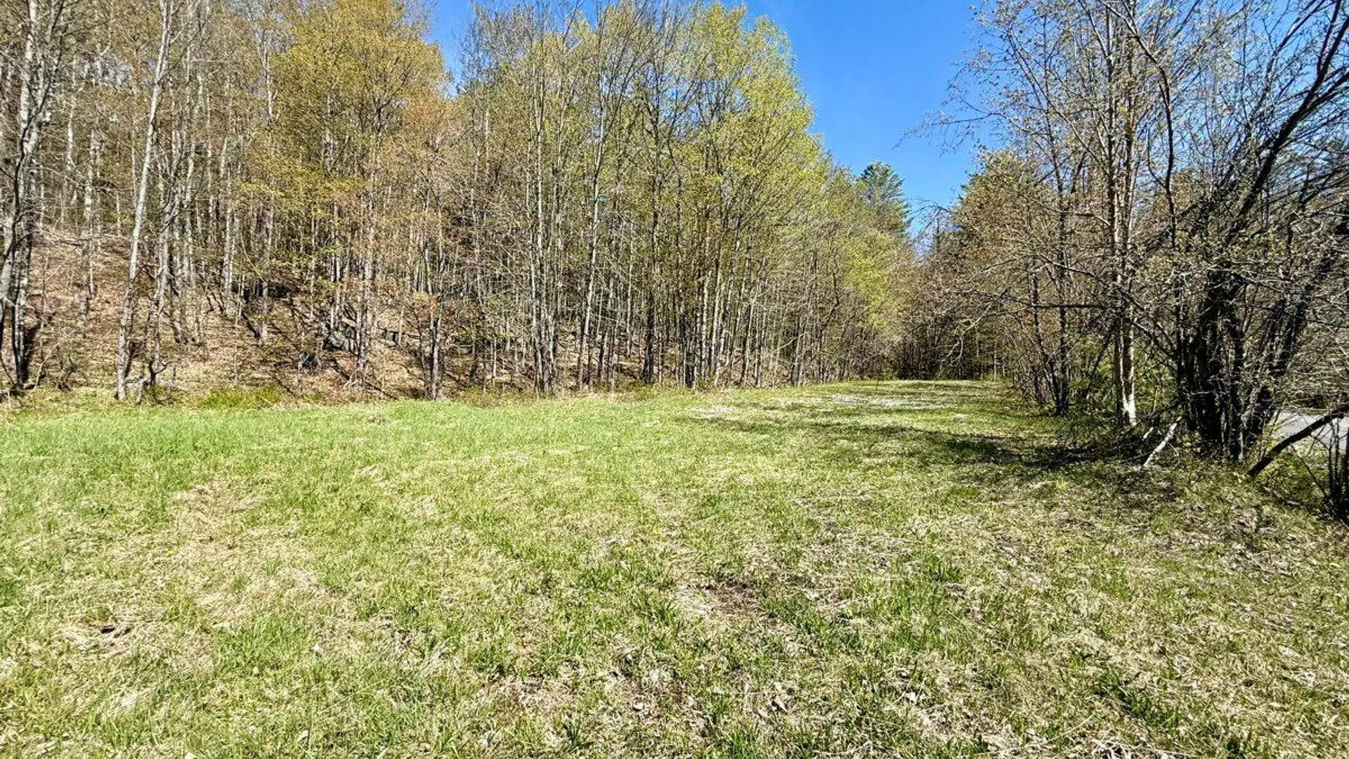 Property at 299 & 331 Page Street, Lake Pleasant, NY 12108 7