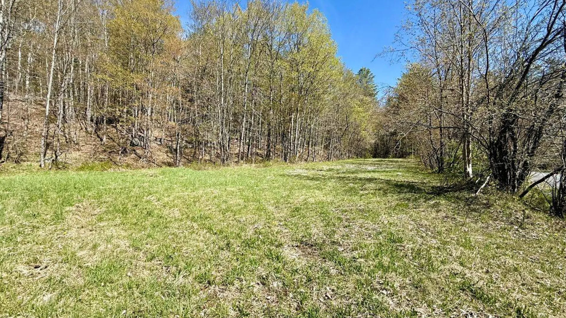 Property at 299 & 331 Page Street, Lake Pleasant, NY 12108 8