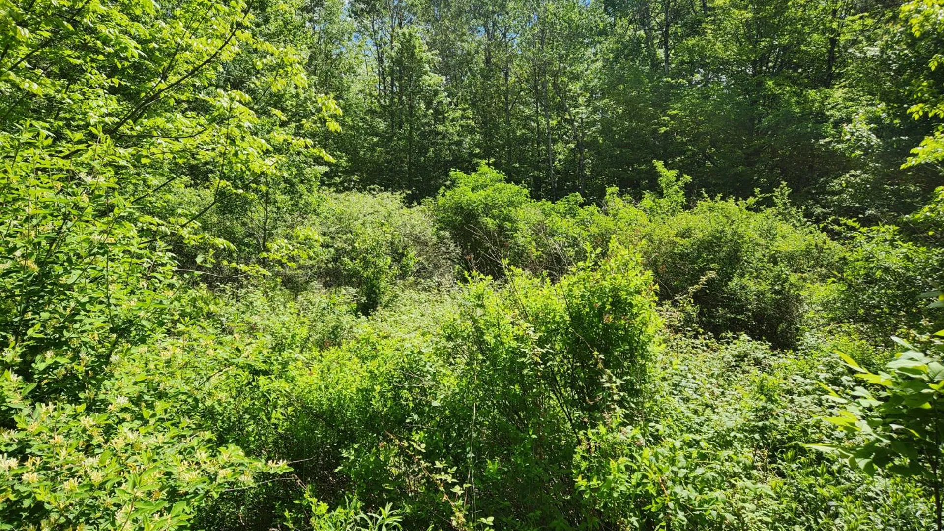 Property at 0 Ridgeview Road, Plymouth, NY 13832 5