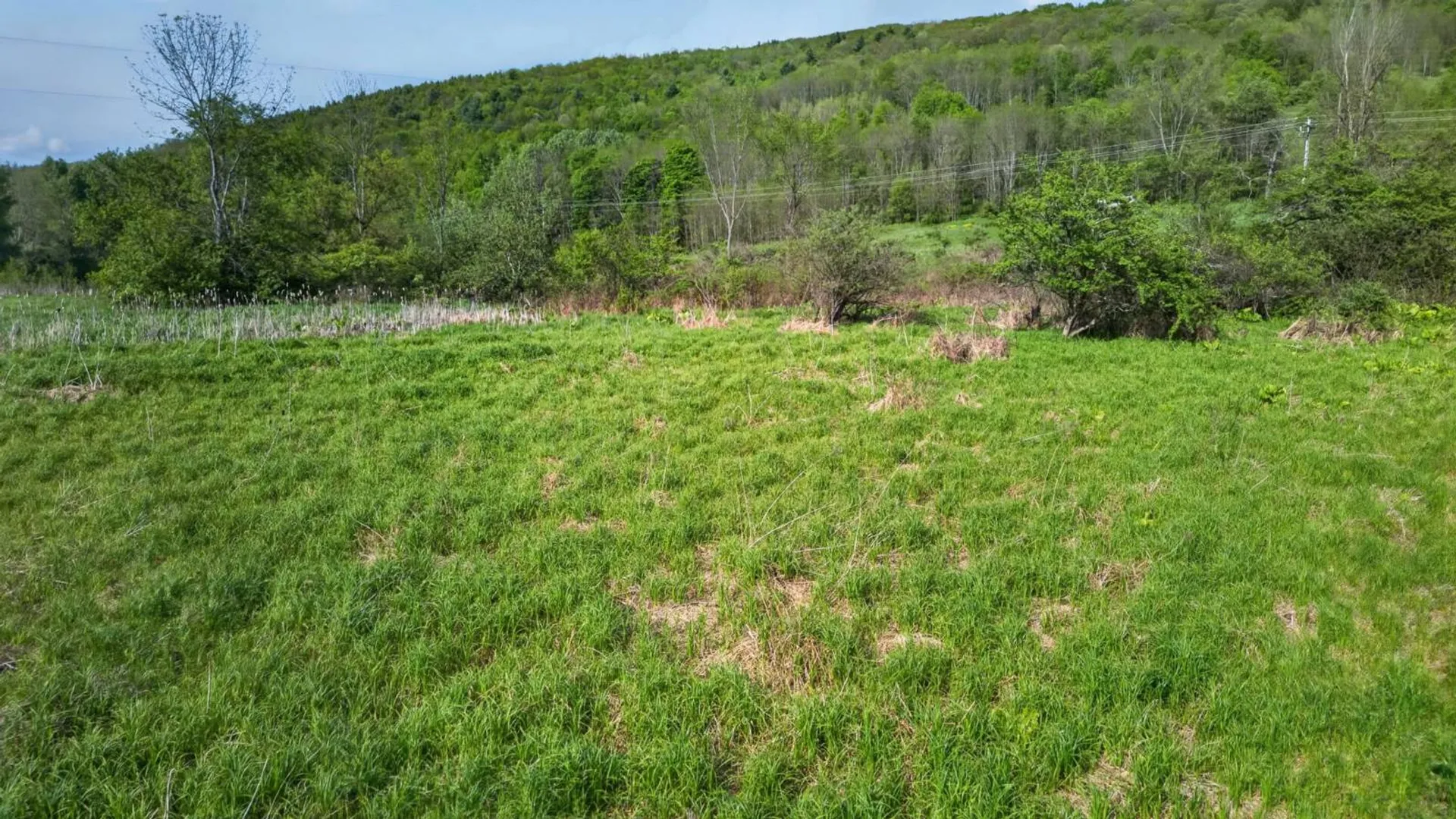 Property at 2656 County Highway 18, Pittsfield, NY 13843 4