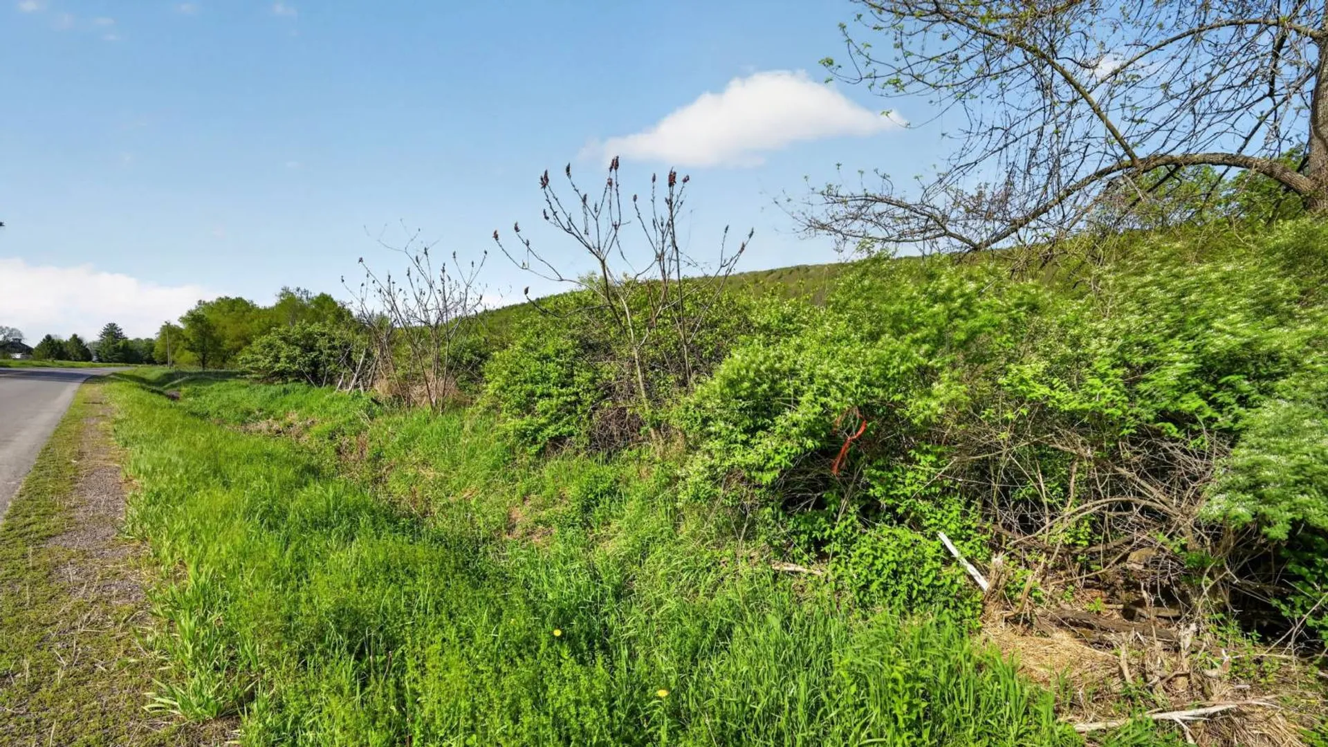Property at 2656 County Highway 18, Pittsfield, NY 13843 16