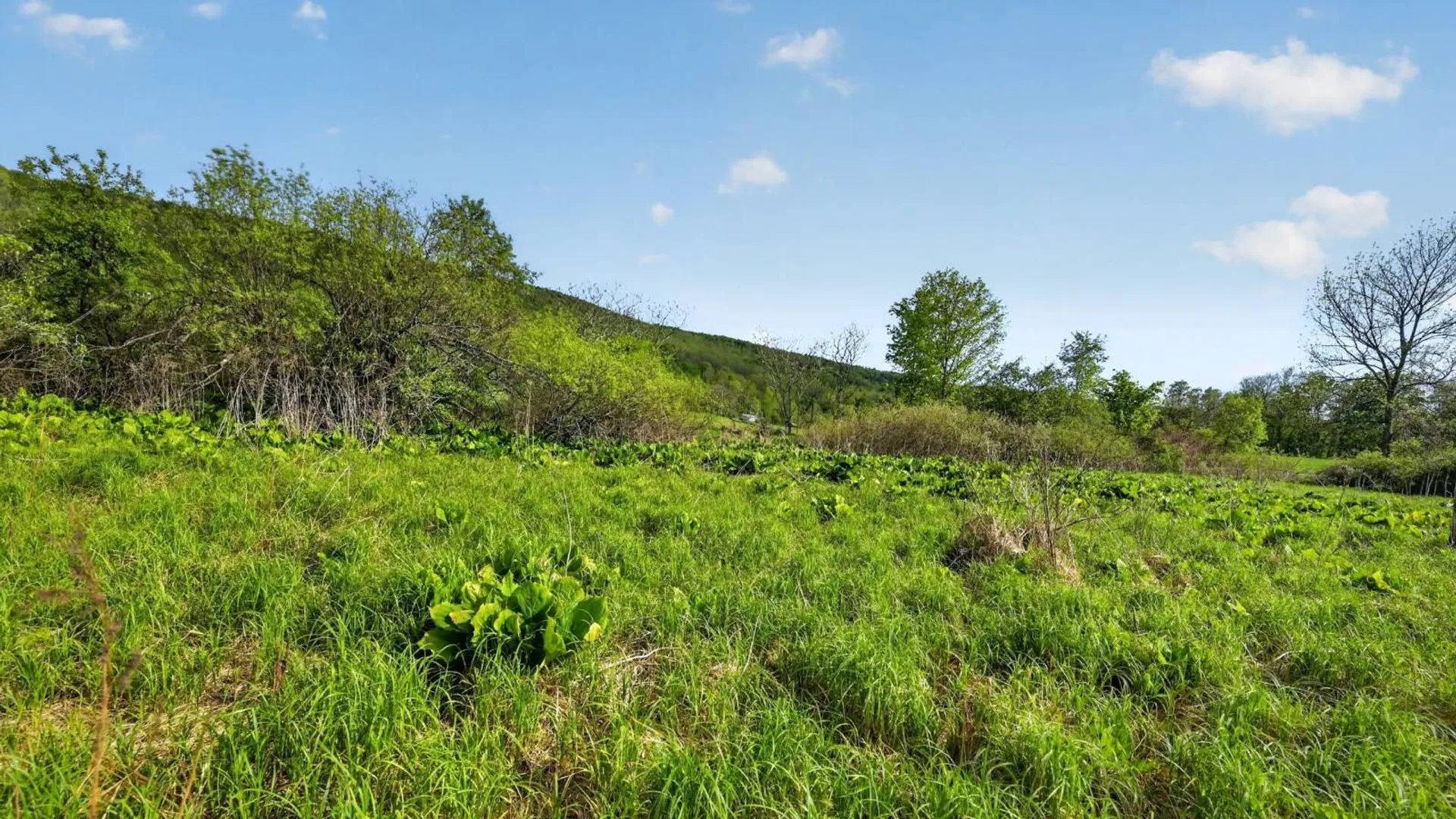 Property at 2656 County Highway 18, Pittsfield, NY 13843 21