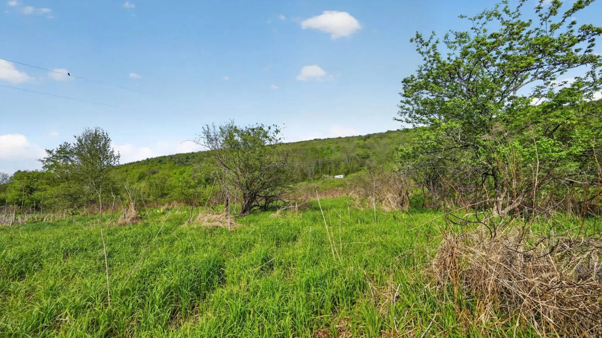 Property at 2656 County Highway 18, Pittsfield, NY 13843 11