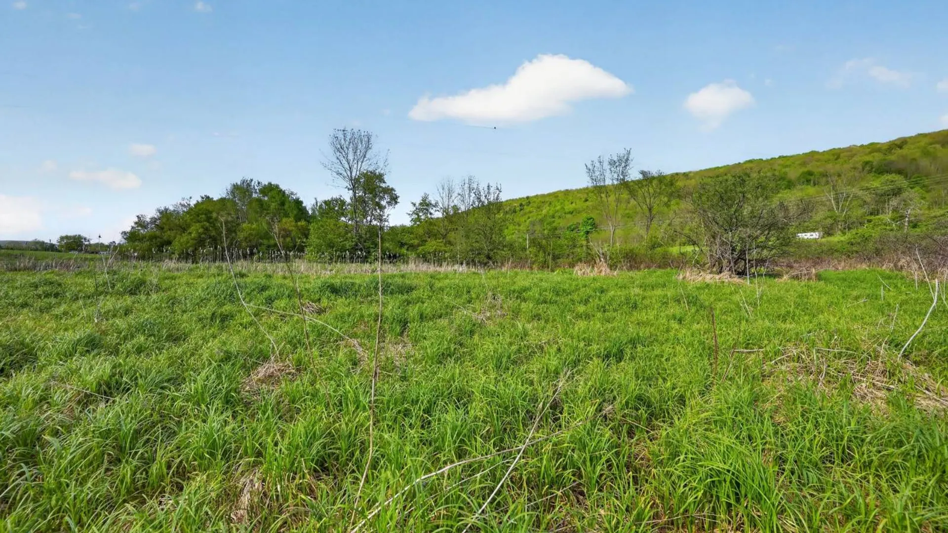 Property at 2656 County Highway 18, Pittsfield, NY 13843 8