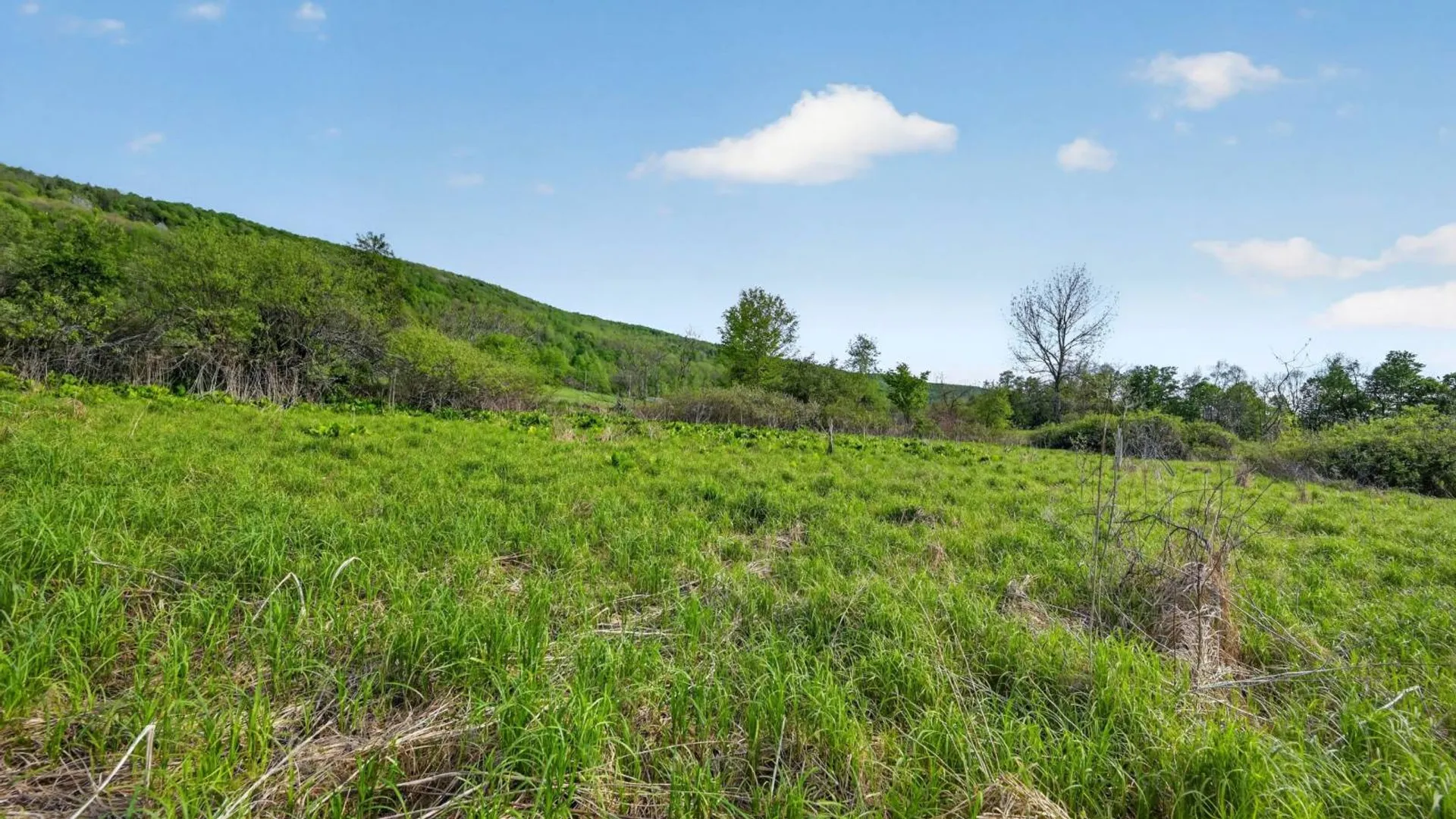 Property at 2656 County Highway 18, Pittsfield, NY 13843 10