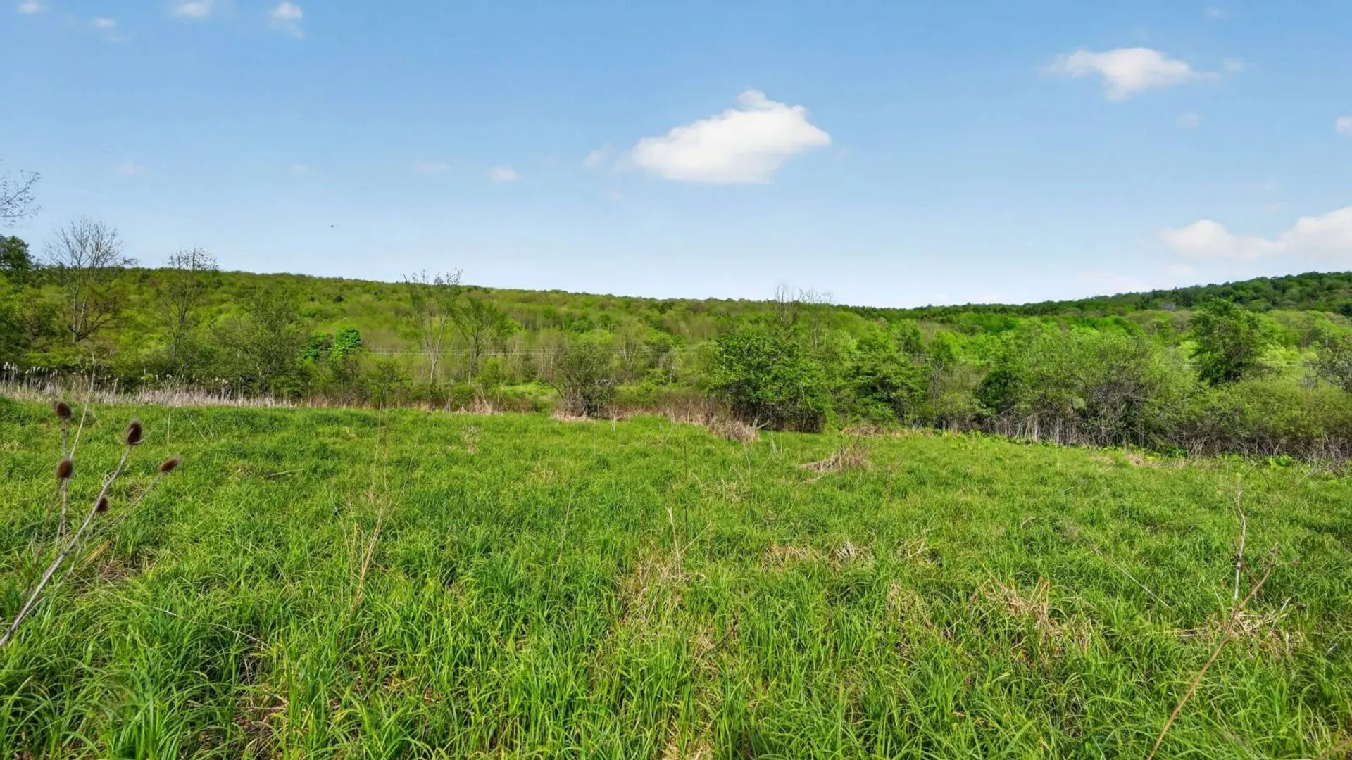 Property at 2656 County Highway 18, Pittsfield, NY 13843 6