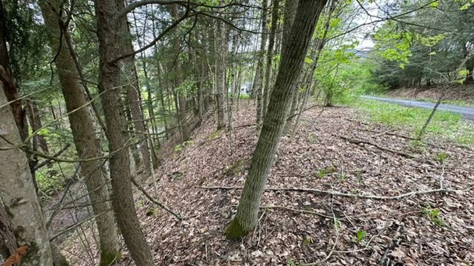 Property at 116 Oregon Rd, Butternuts, NY 13776 3