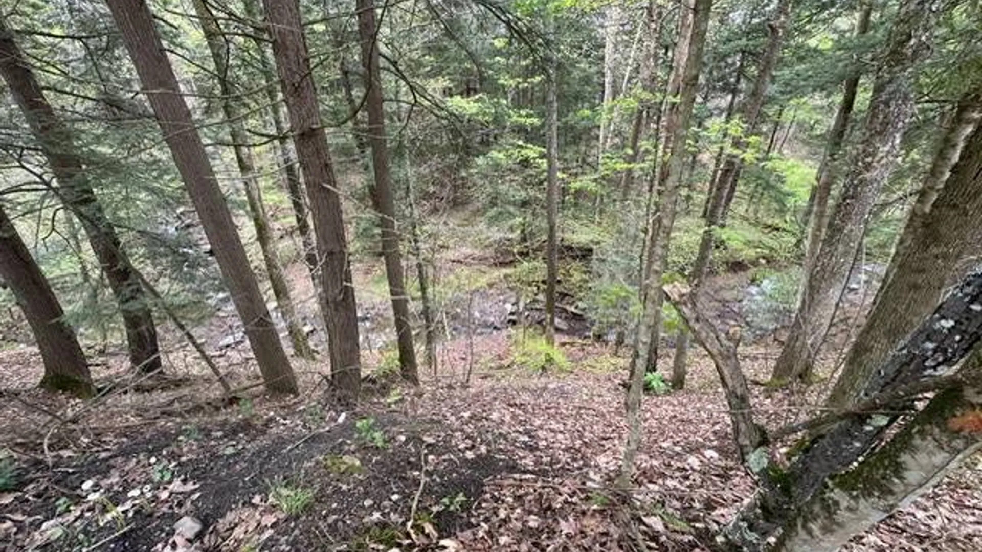 Property at 116 Oregon Rd, Butternuts, NY 13776 4