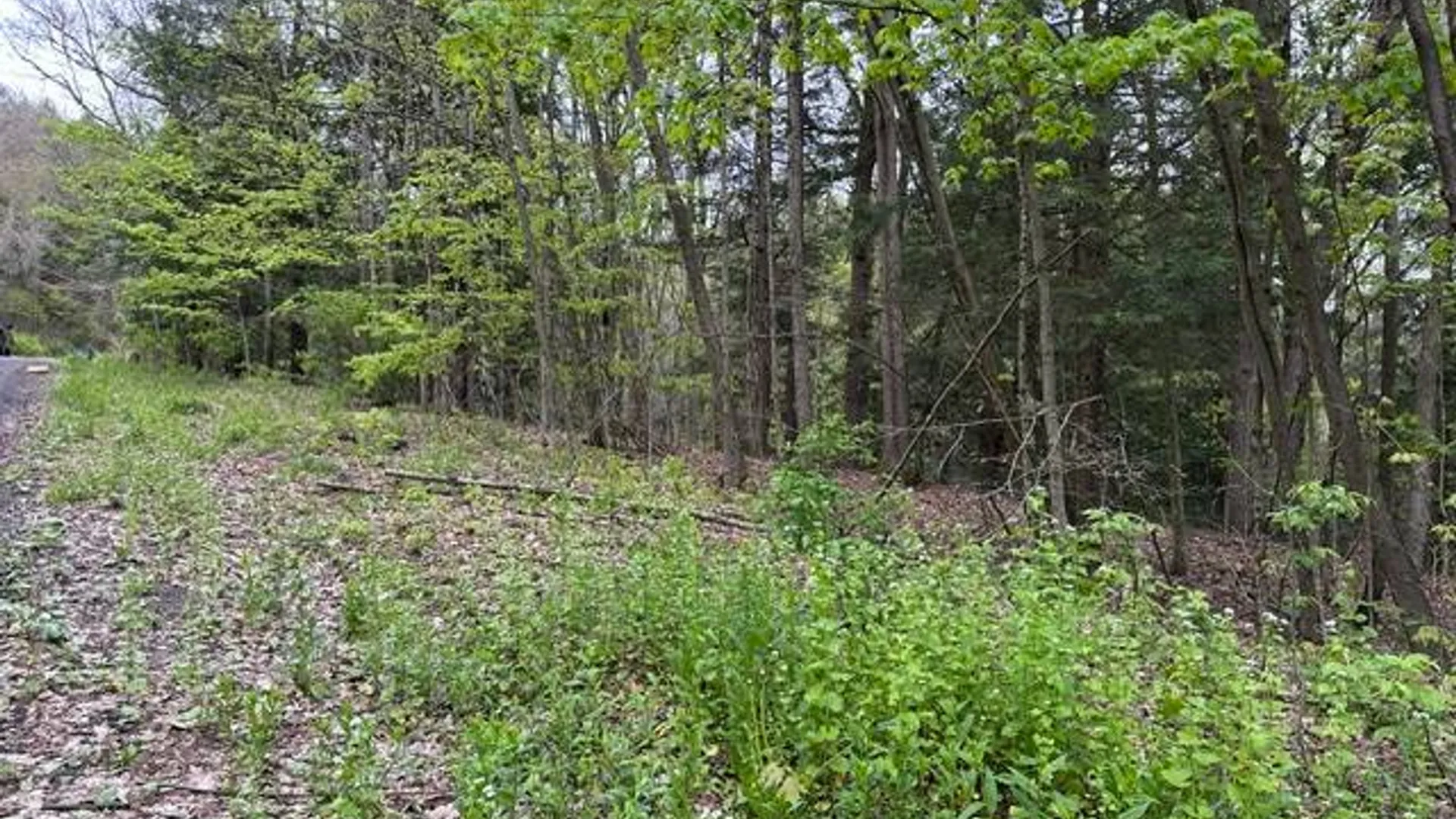 Property at 116 Oregon Rd, Butternuts, NY 13776 5
