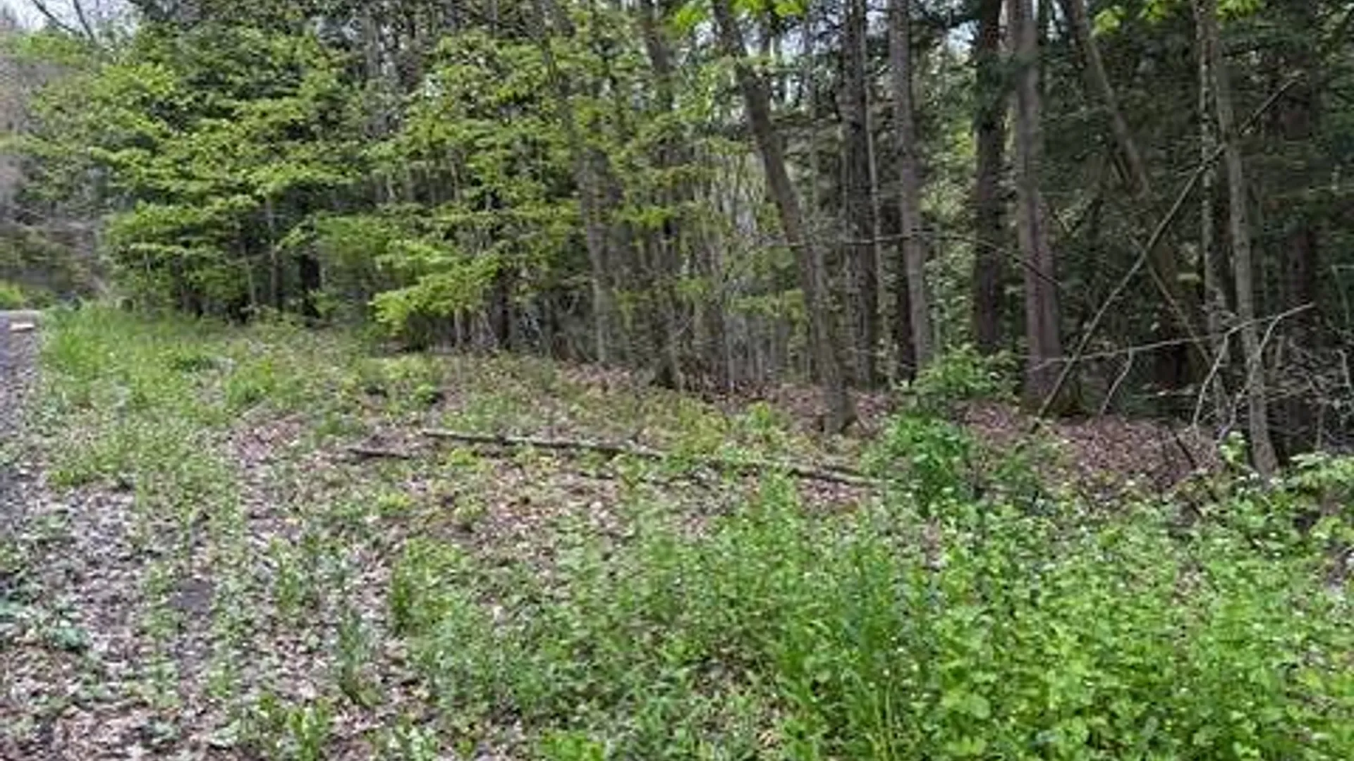 Property at 116 Oregon Rd, Butternuts, NY 13776 6