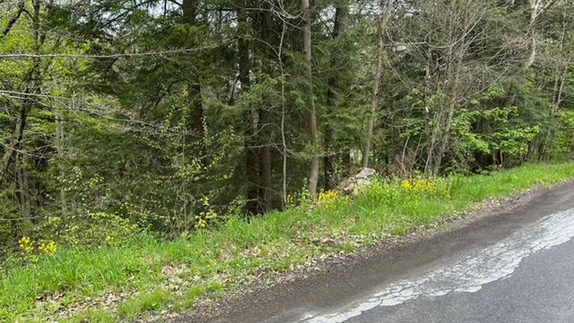 Property at 116 Oregon Rd, Butternuts, NY 13776 7