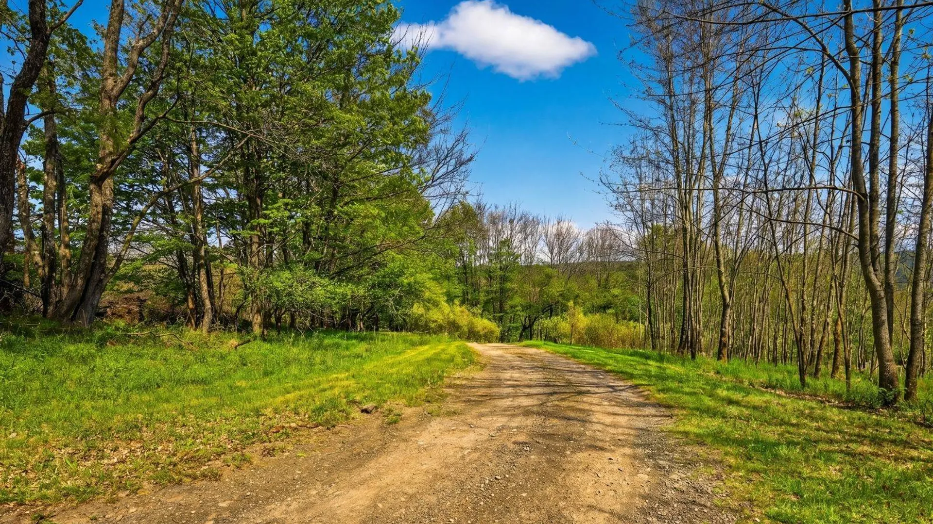 Property at 1721 County Highway 14, Hartwick, NY 13810 69