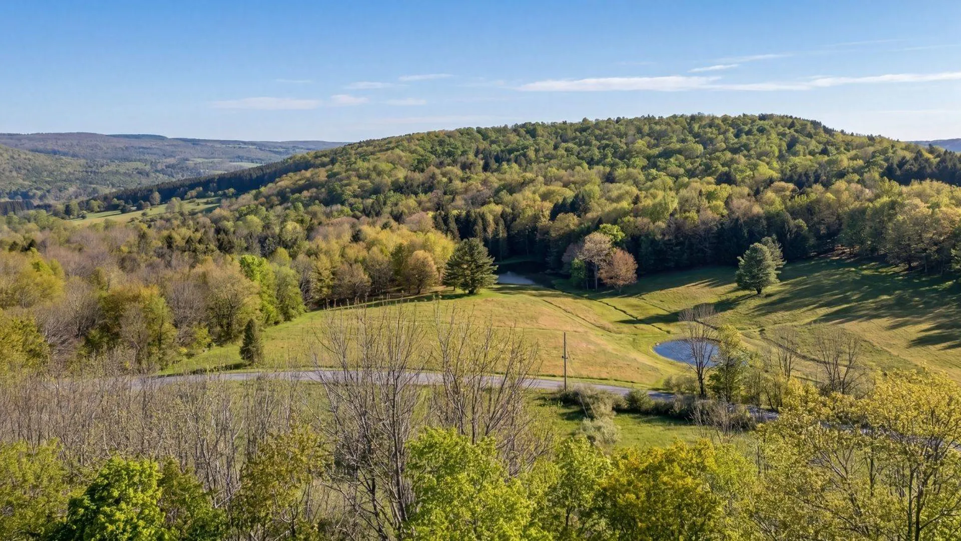 Property at 1721 County Highway 14, Hartwick, NY 13810 79