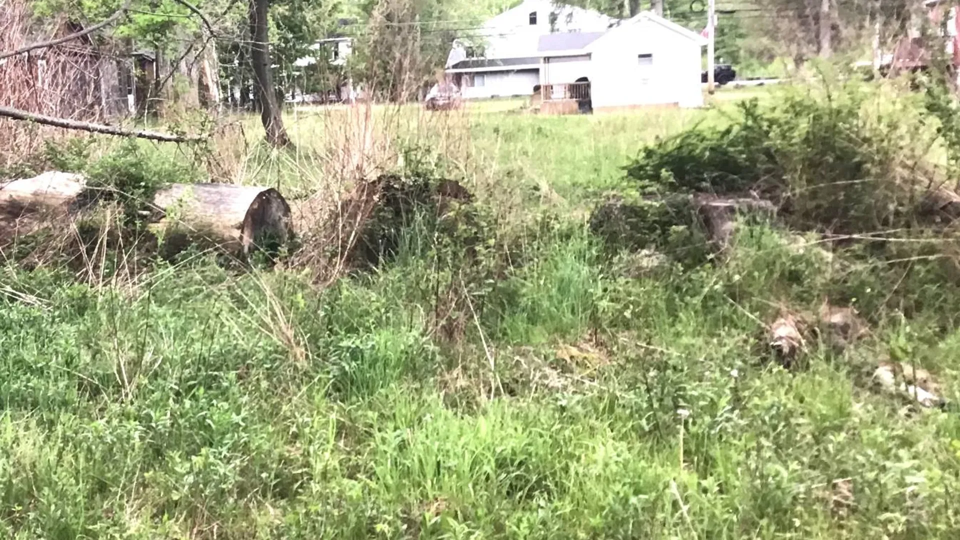 Property at 7600 main street, Hunter, NY 12442 18