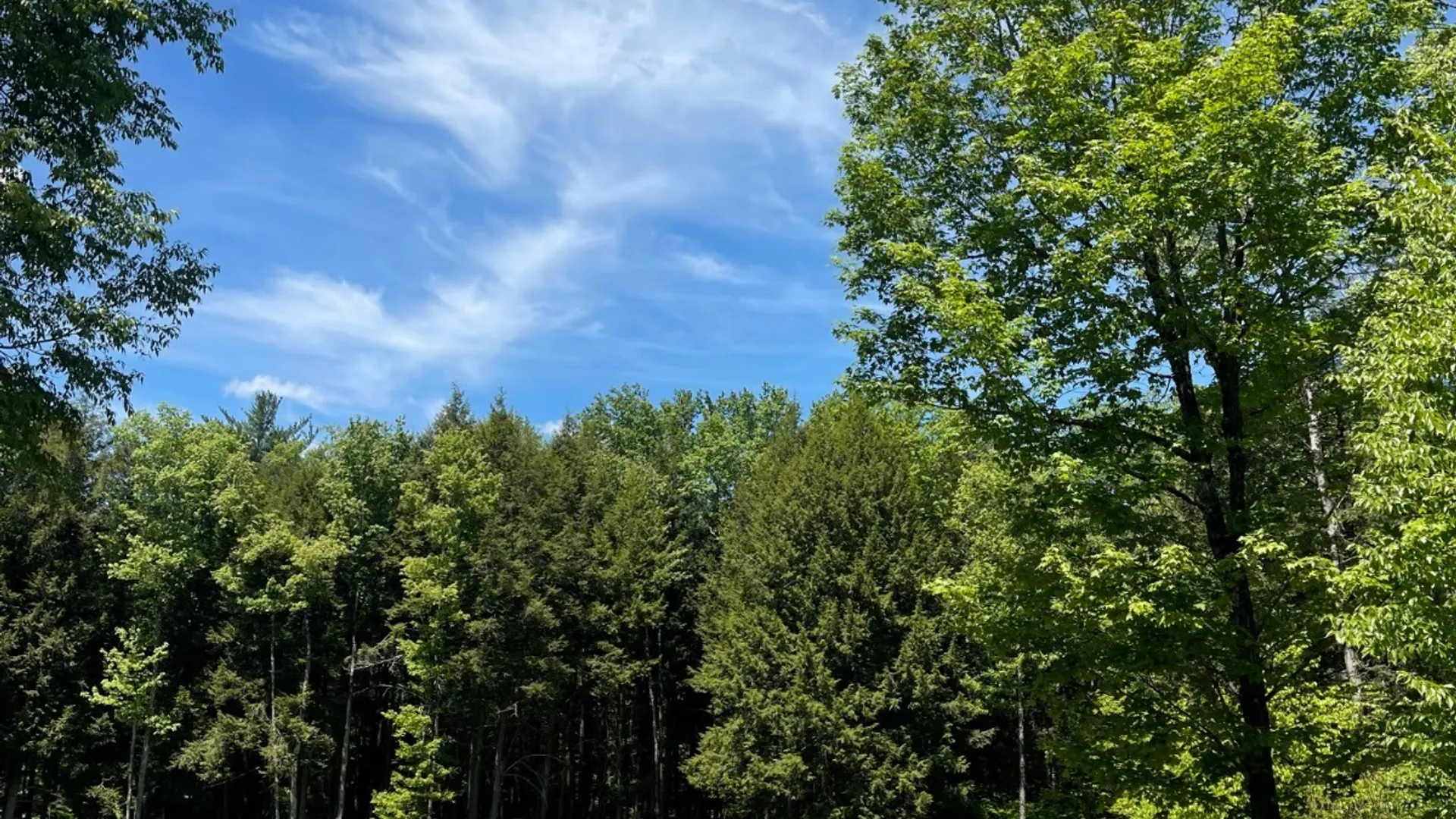 Property at 129 Hollow Rd, McDonough, NY 13801 11