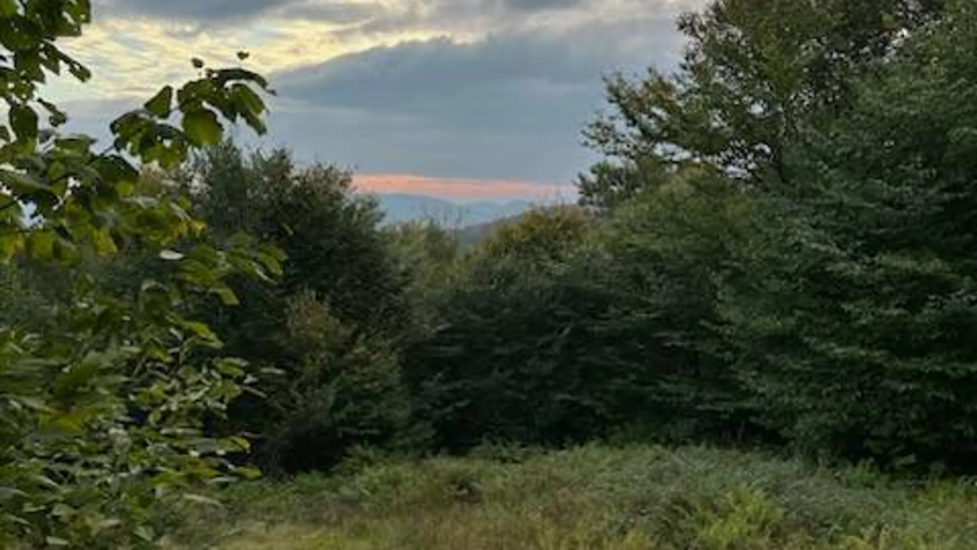 Property at 758 State Route 8 Rd, Hoffmeister, NY 13353 4