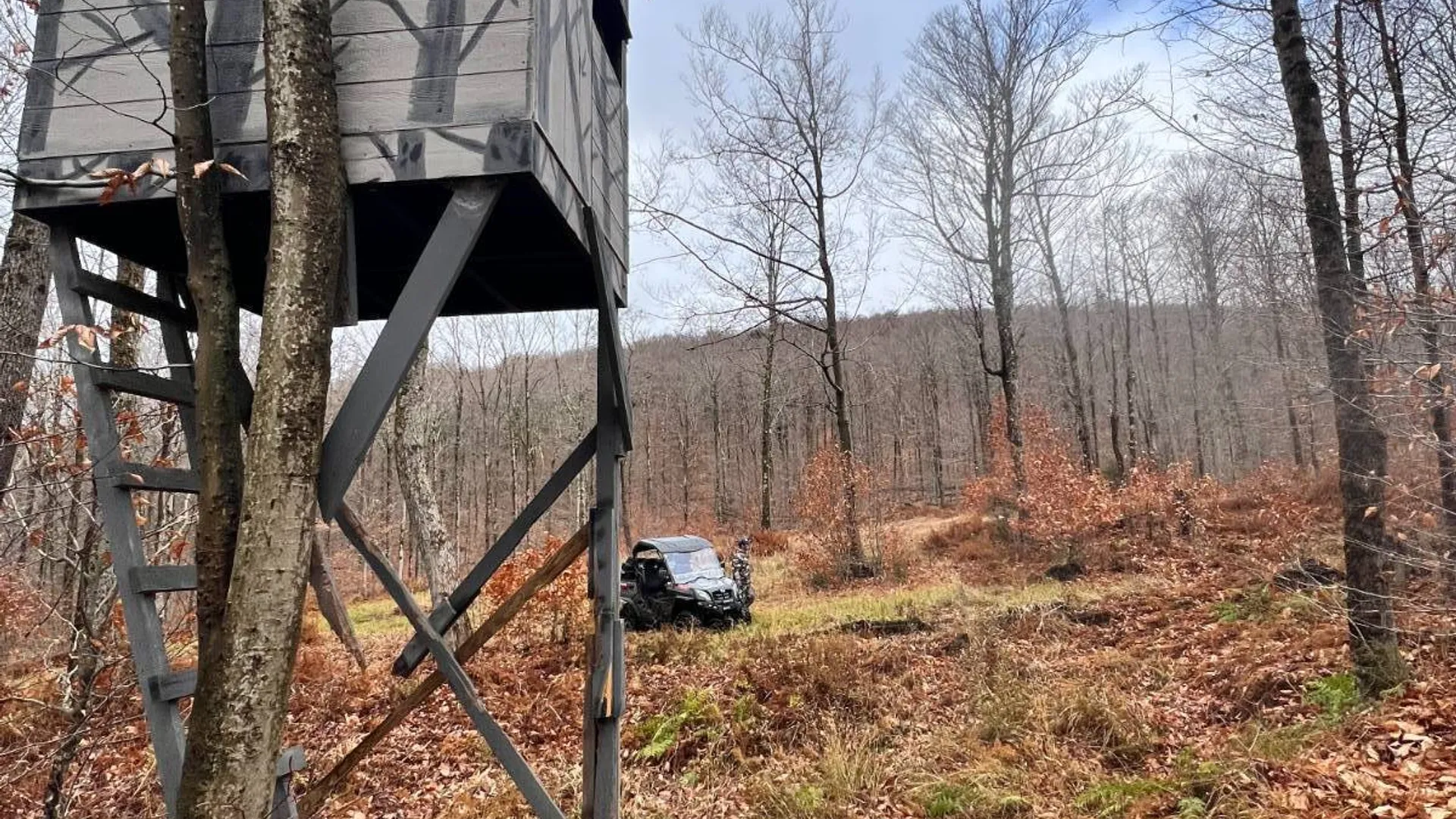 Property at 758 State Route 8 Rd, Hoffmeister, NY 13353 12