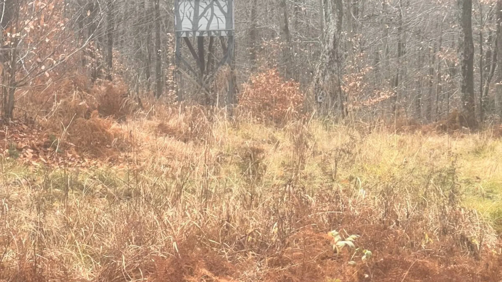 Property at 758 State Route 8 Rd, Hoffmeister, NY 13353 19