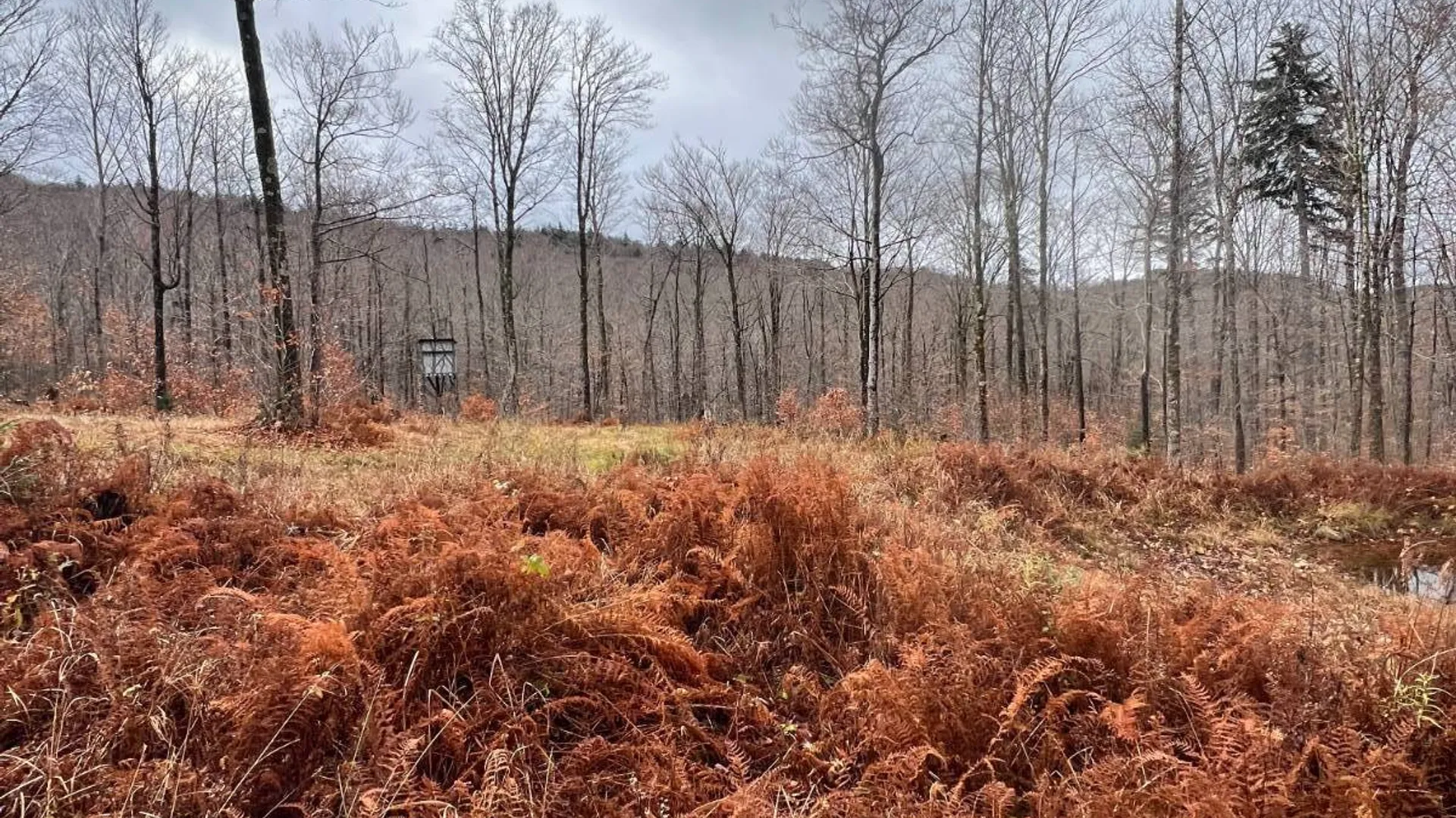 Property at 758 State Route 8 Rd, Hoffmeister, NY 13353 20