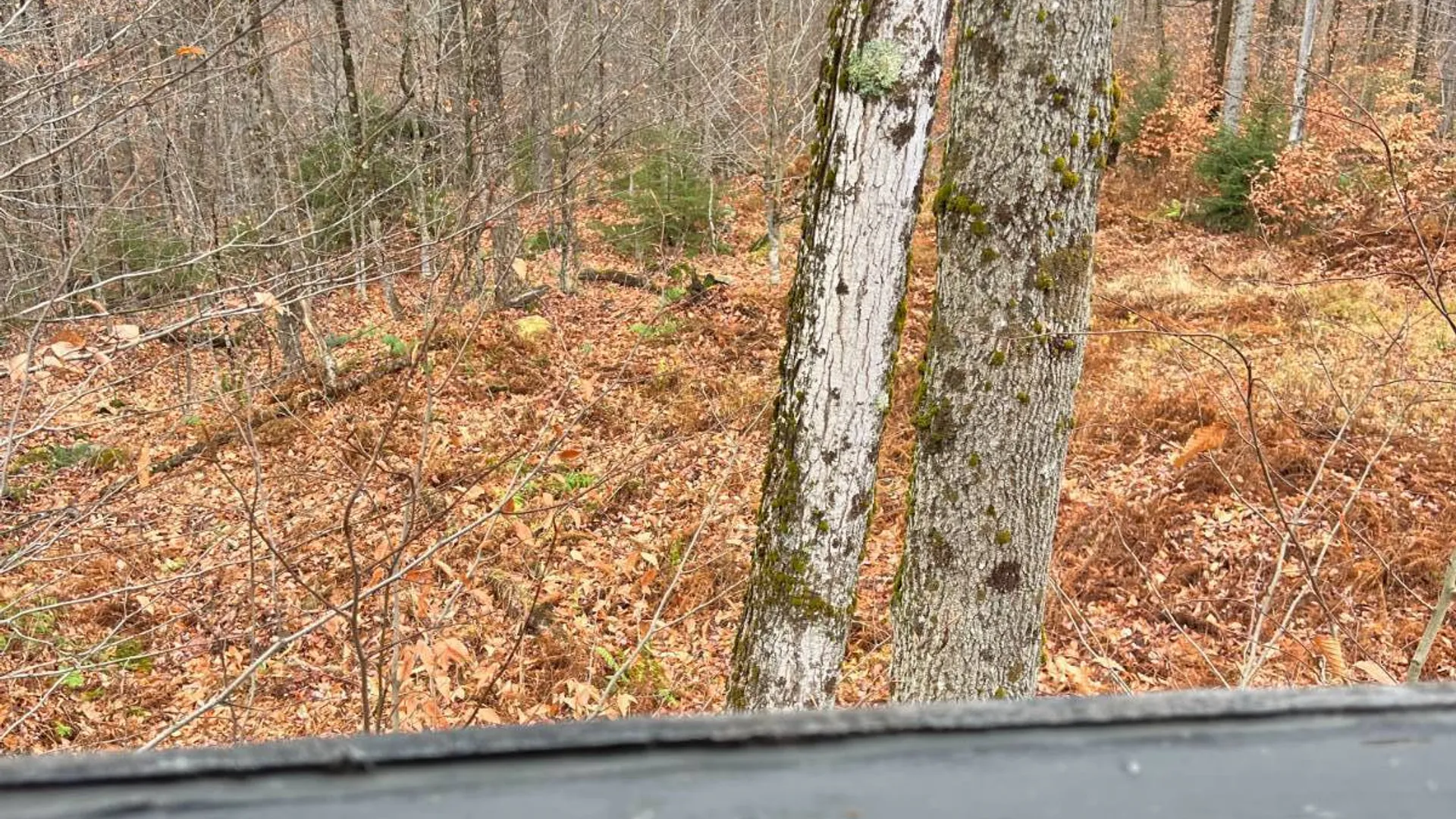Property at 758 State Route 8 Rd, Hoffmeister, NY 13353 23