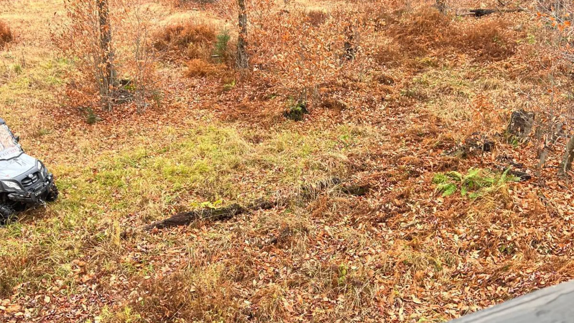 Property at 758 State Route 8 Rd, Hoffmeister, NY 13353 25