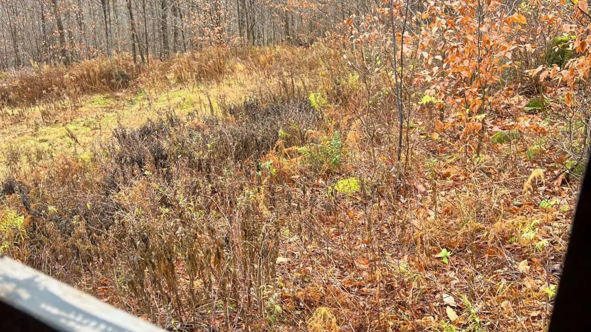 Property at 758 State Route 8 Rd, Hoffmeister, NY 13353 29