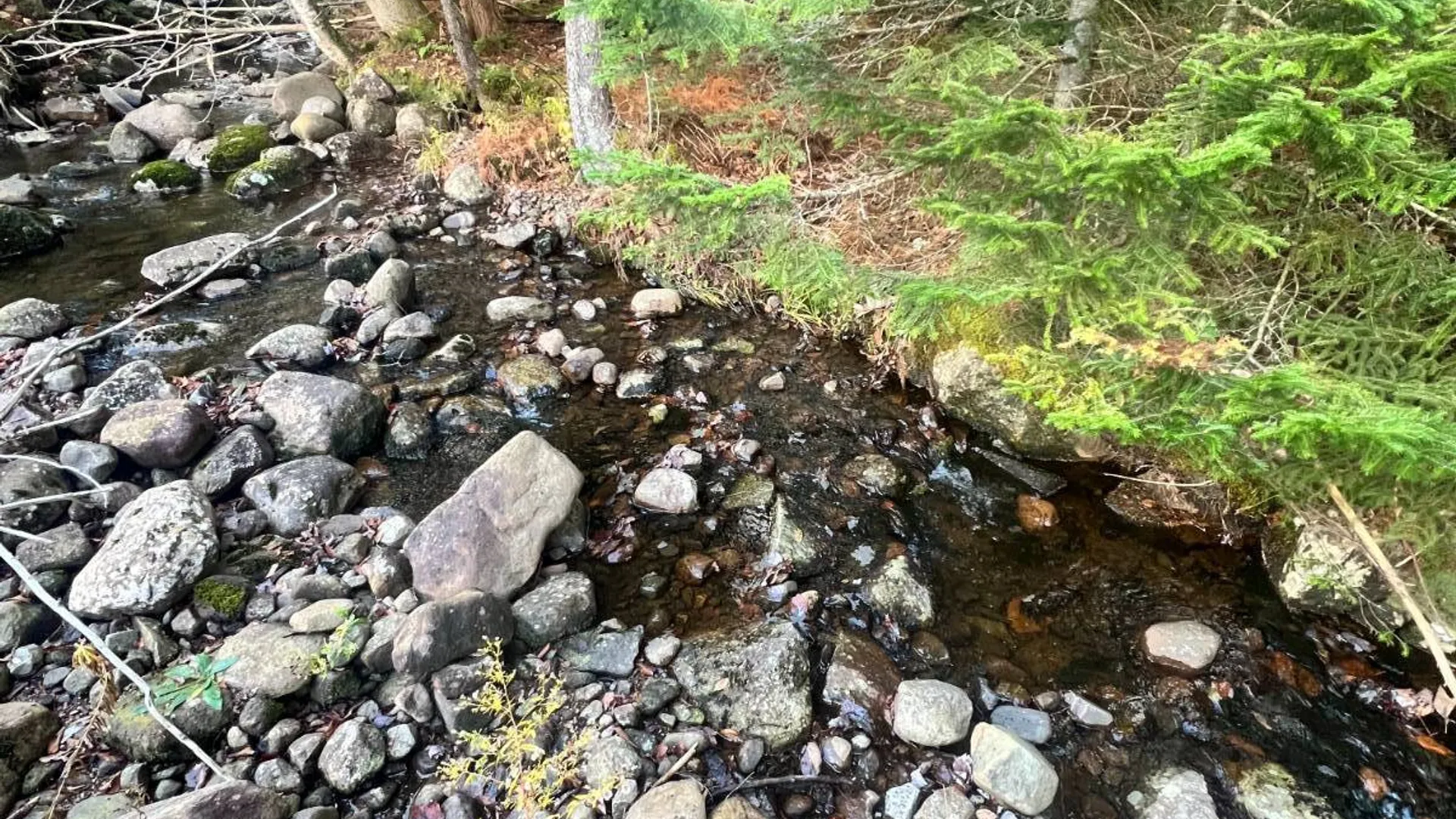 Property at 774 State Route 8 Rd, Hofemeister, NY 13353 12