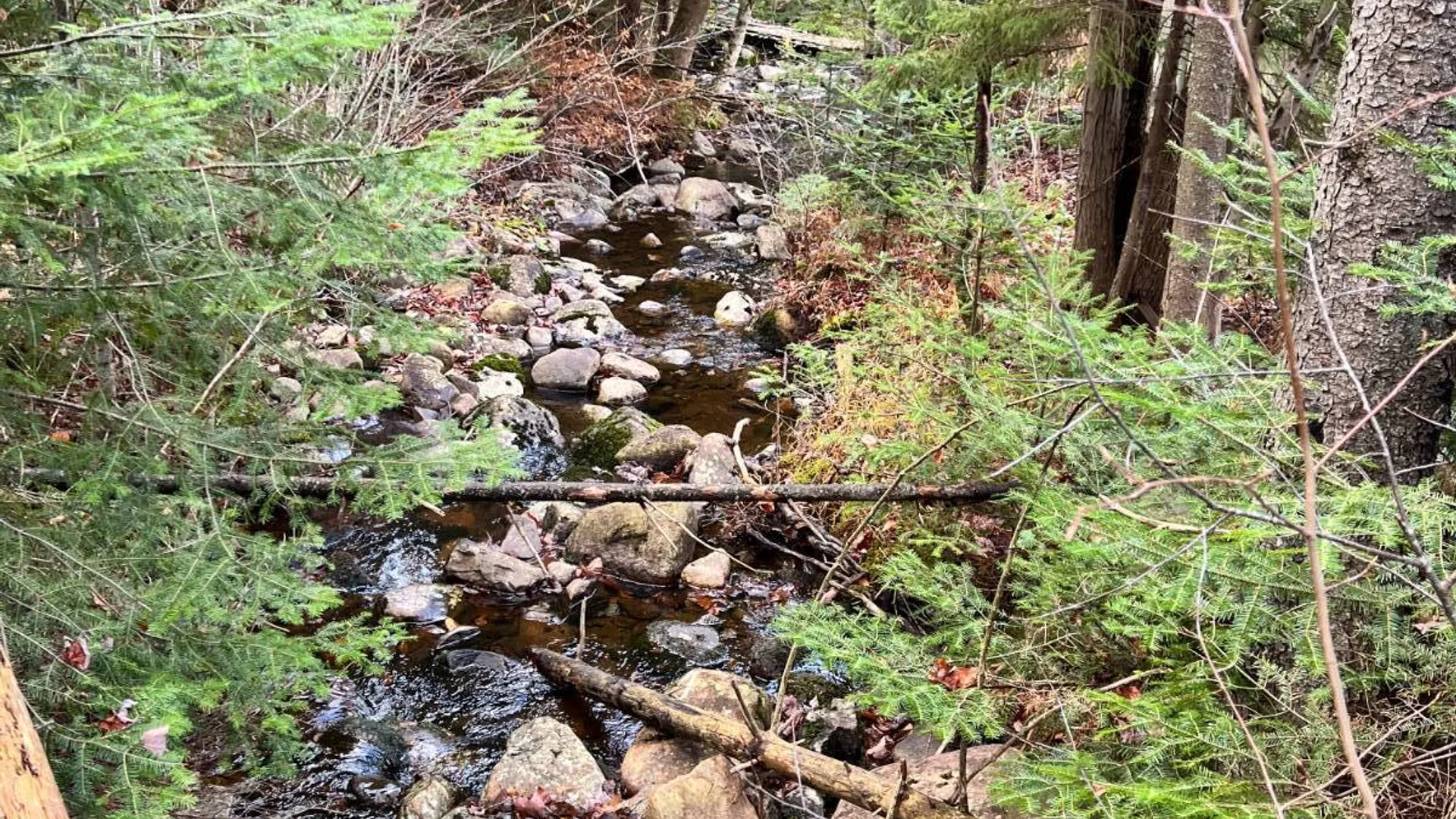 Property at 774 State Route 8 Rd, Hofemeister, NY 13353 13