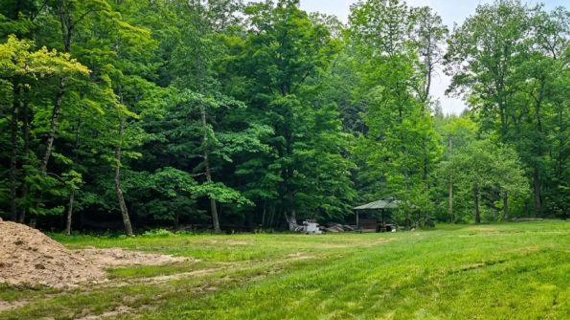 Property at 0 Salisbury, Stratford, NY 13470 16