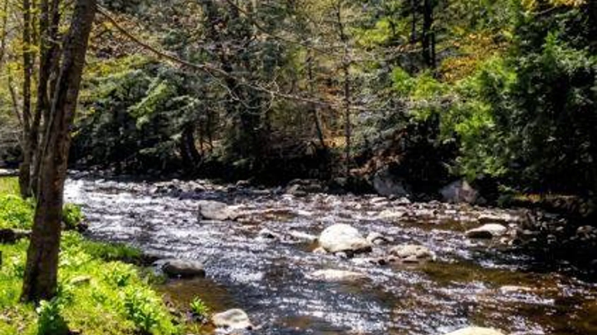 Property at 0 Salisbury, Stratford, NY 13470 13